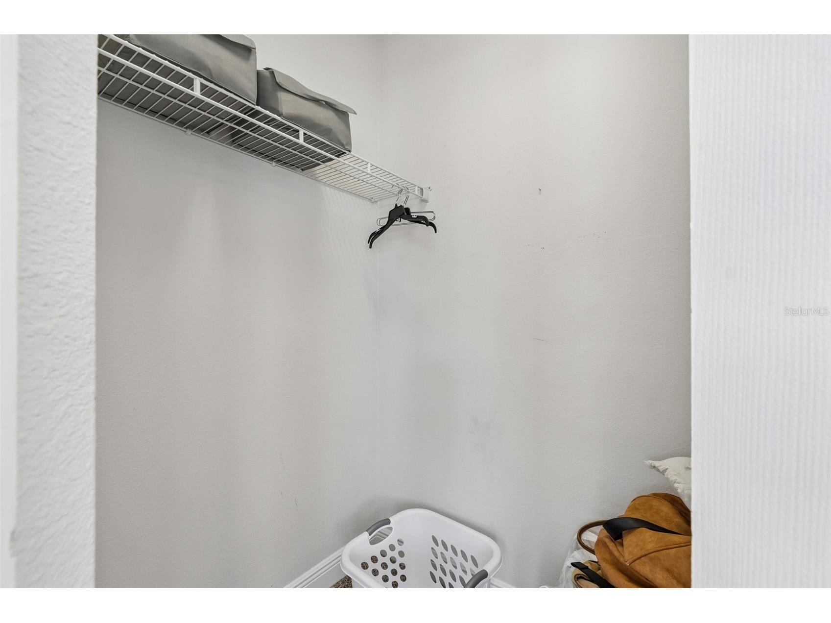 650 Siren Wind Lane Clearwater FL 33756 TB8502993 image49