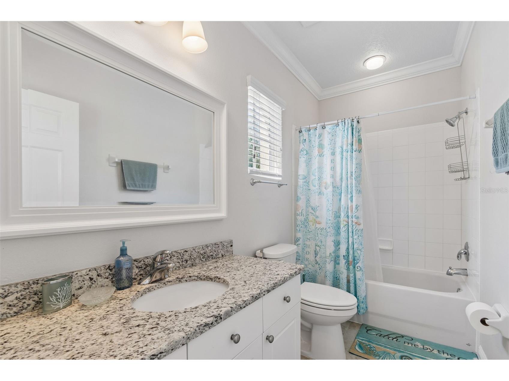 650 Siren Wind Lane Clearwater FL 33756 TB8502993 image50