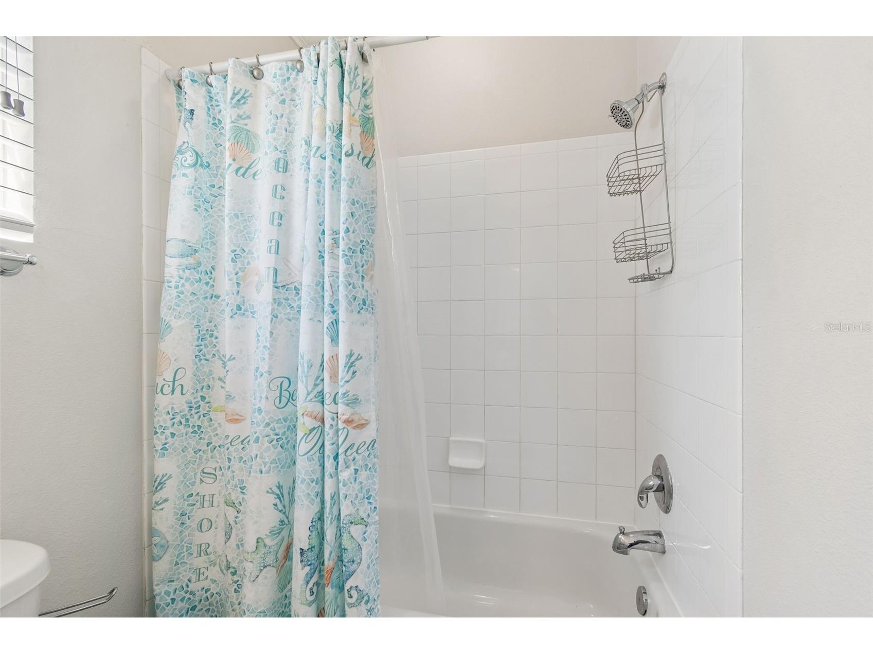 650 Siren Wind Lane Clearwater FL 33756 TB8502993 image51