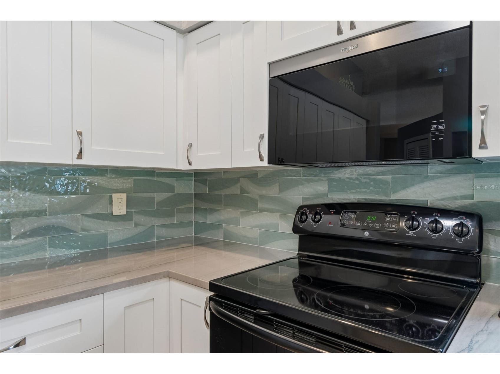 650 Sweetbriar Drive Oldsmar FL 34677 A4697507 image19