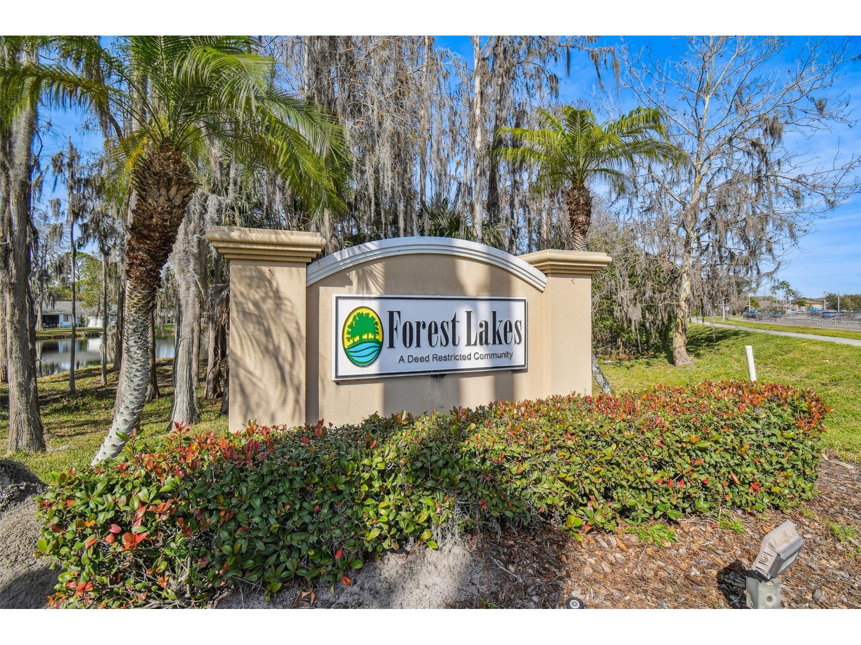 650 Sweetbriar Drive Oldsmar FL 34677 A4697507 image44