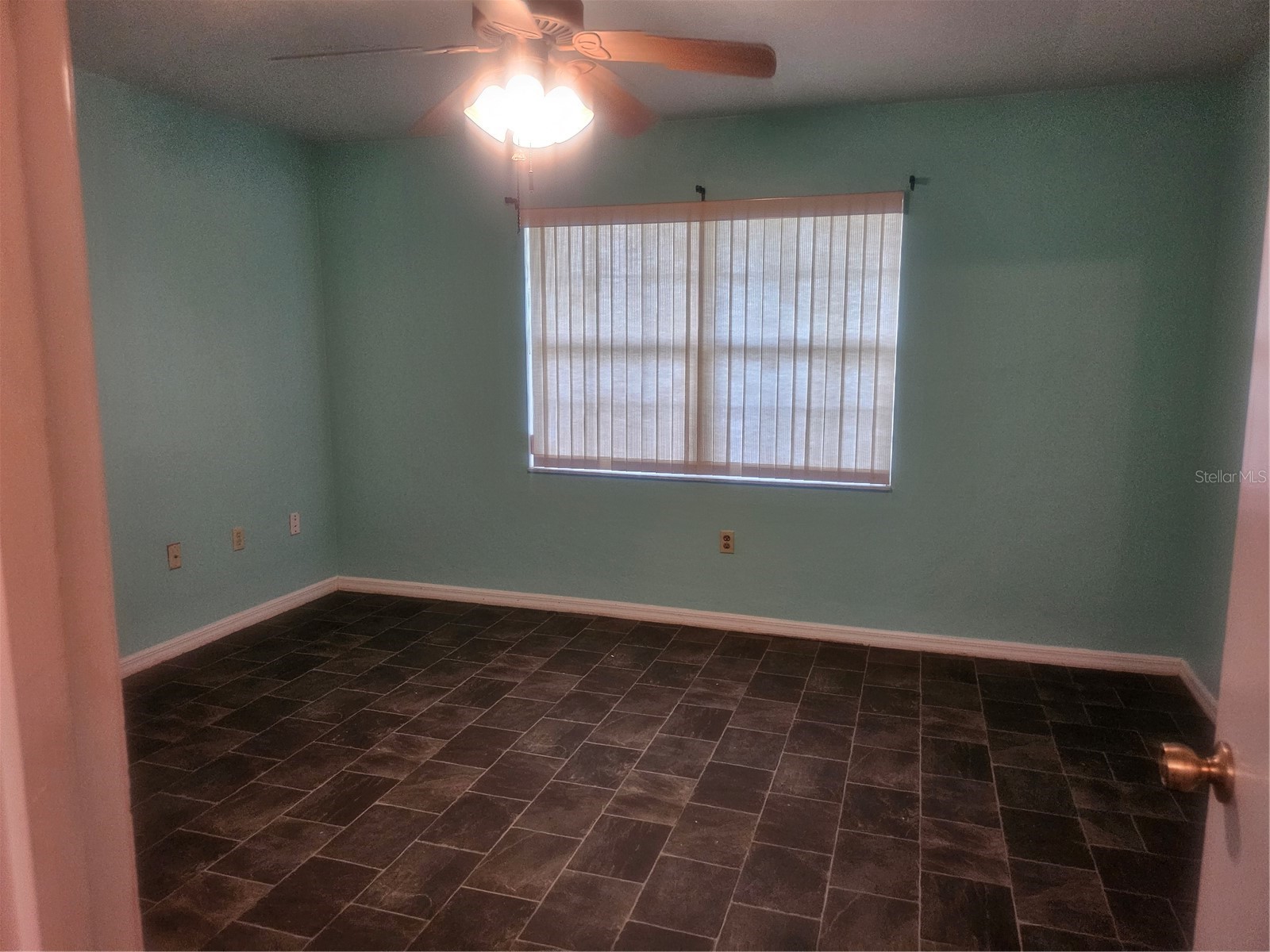 650 W Diamondbird Loop #650 Hernando FL 34442 TB8505565 image22