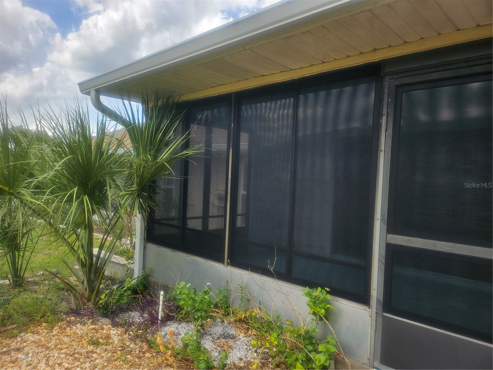 650 W Diamondbird Loop #650 Hernando FL 34442 TB8505565 image27