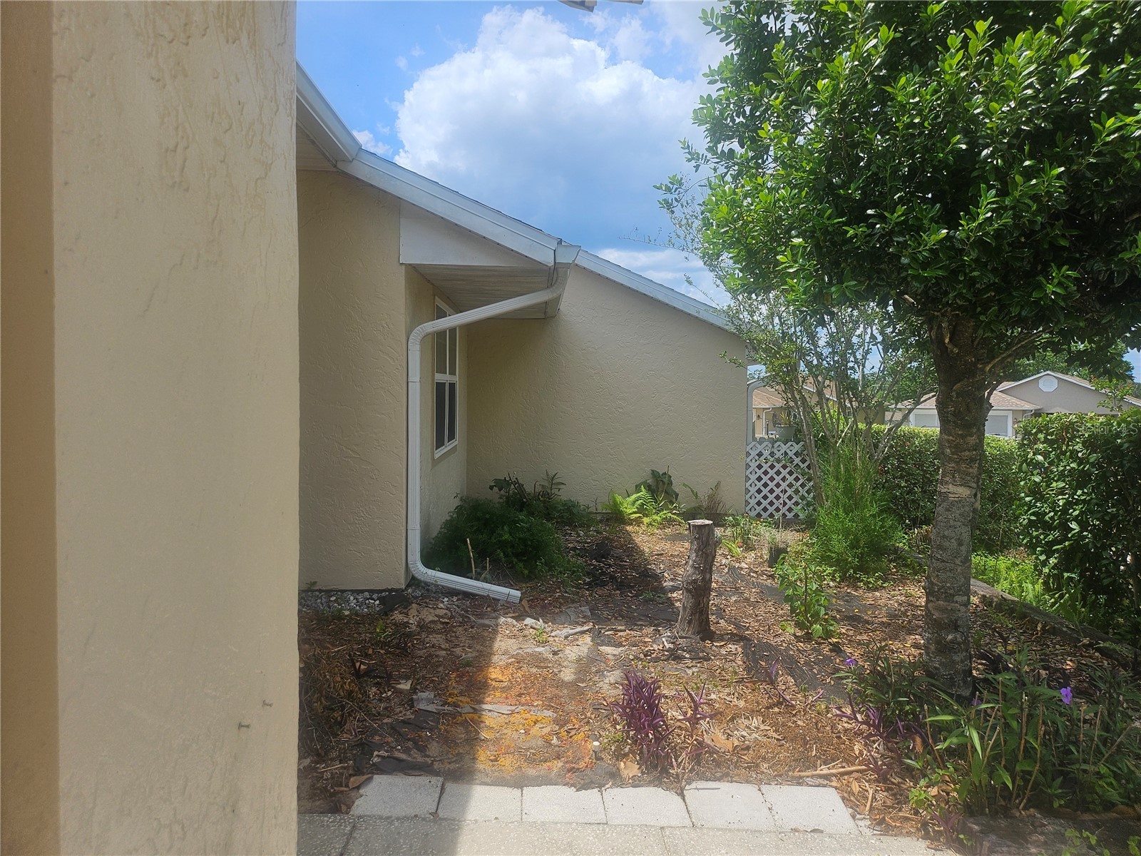 650 W Diamondbird Loop #650 Hernando FL 34442 TB8505565 image32