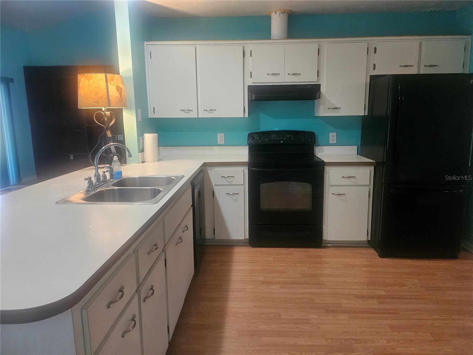 650 W Diamondbird Loop #650 Hernando FL 34442 TB8505565 image4