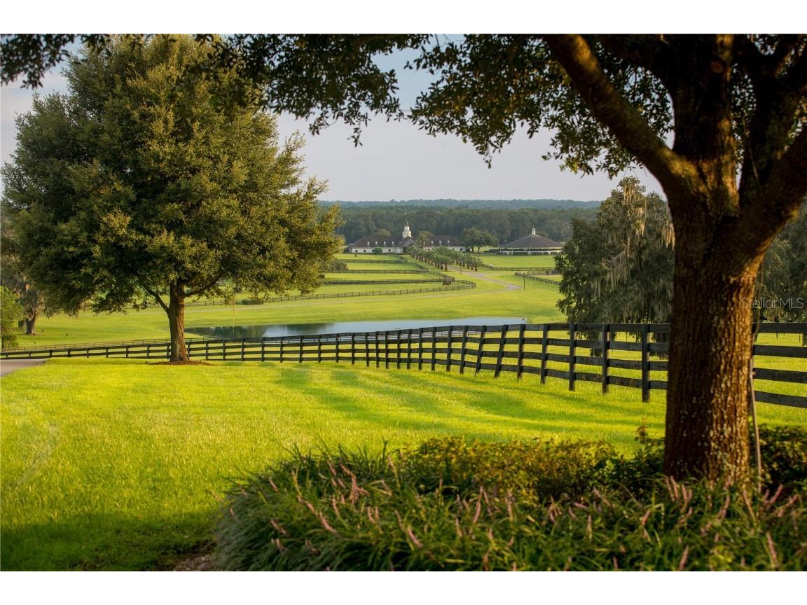 6500 & 6800 NW 193rd Street Micanopy FL 32667 OM691230 image22