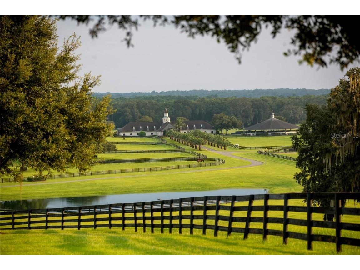 6500 & 6800 NW 193rd Street Micanopy FL 32667 OM691230 image23