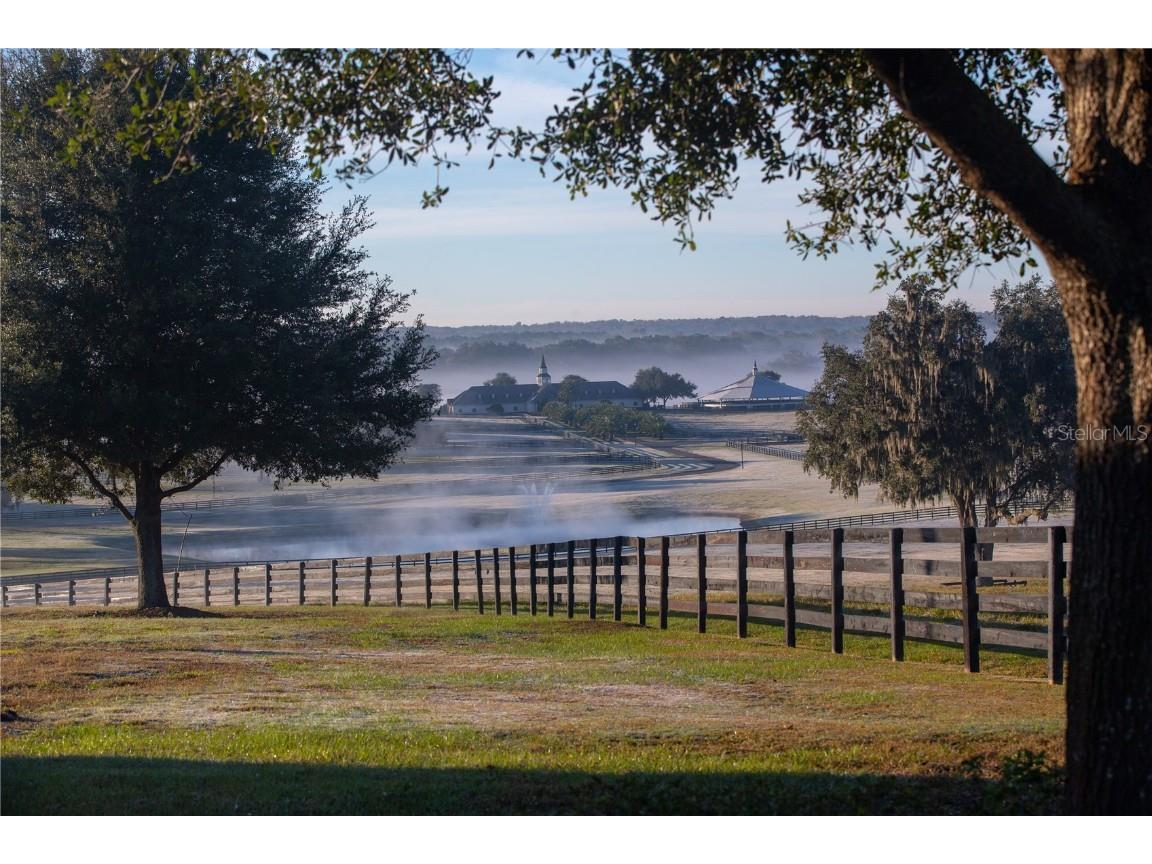 6500 & 6800 NW 193rd Street Micanopy FL 32667 OM691230 image24