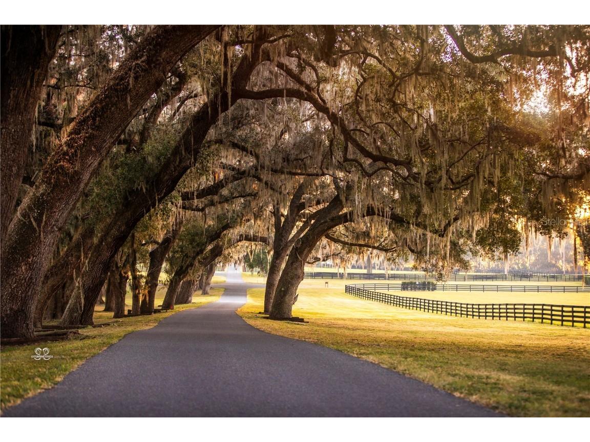 6500 & 6800 NW 193rd Street Micanopy FL 32667 OM691230 image49