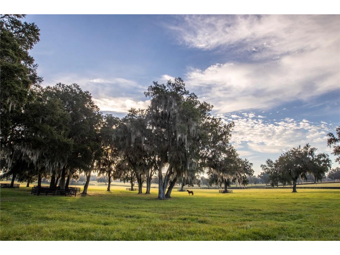 6500 & 6800 NW 193rd Street Micanopy FL 32667 OM691230 image51