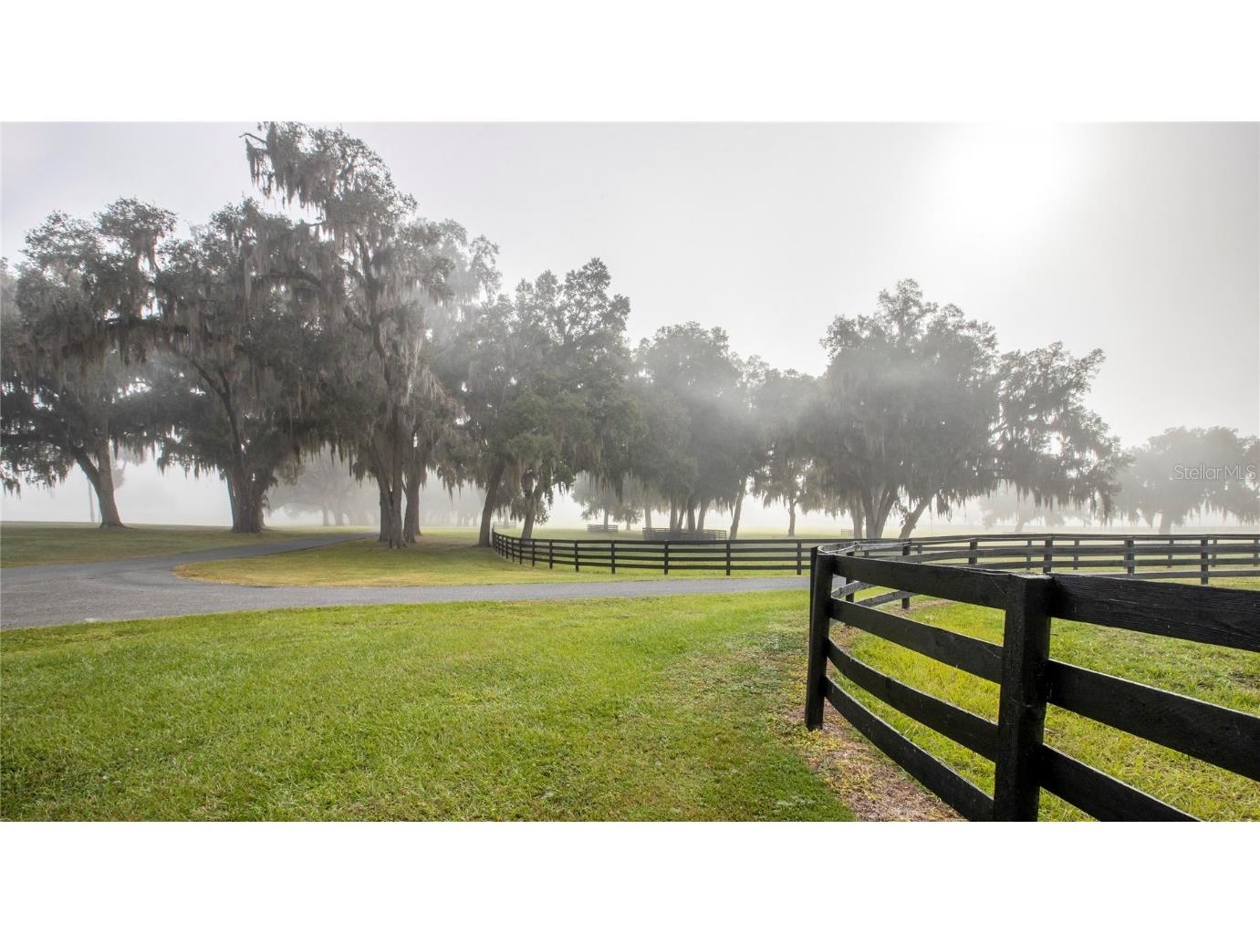 6500 & 6800 NW 193rd Street Micanopy FL 32667 OM691230 image52