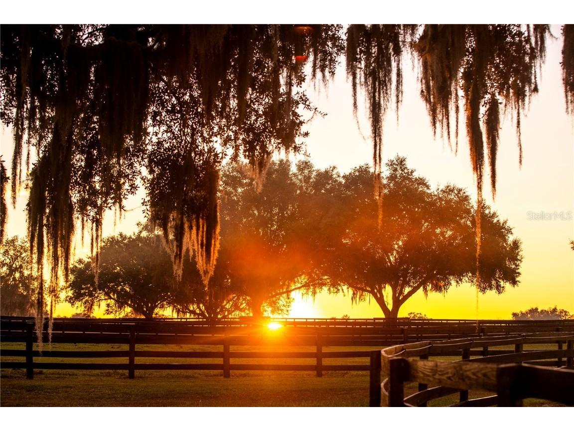 6500 & 6800 NW 193rd Street Micanopy FL 32667 OM691230 image53