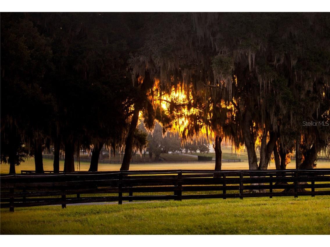 6500 & 6800 NW 193rd Street Micanopy FL 32667 OM691230 image54