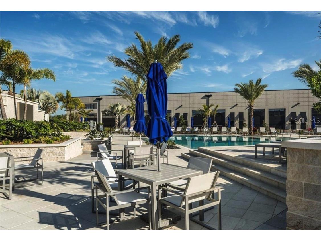 6500 Motor Enclave Way #1014 Tampa FL 33610 TB8441699 image10