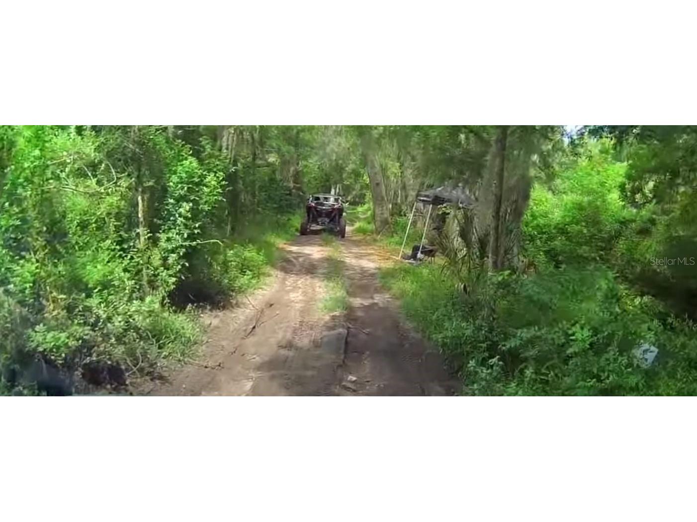 6500 Motor Enclave Way #1214 Tampa FL 33610 TB8450881 image38