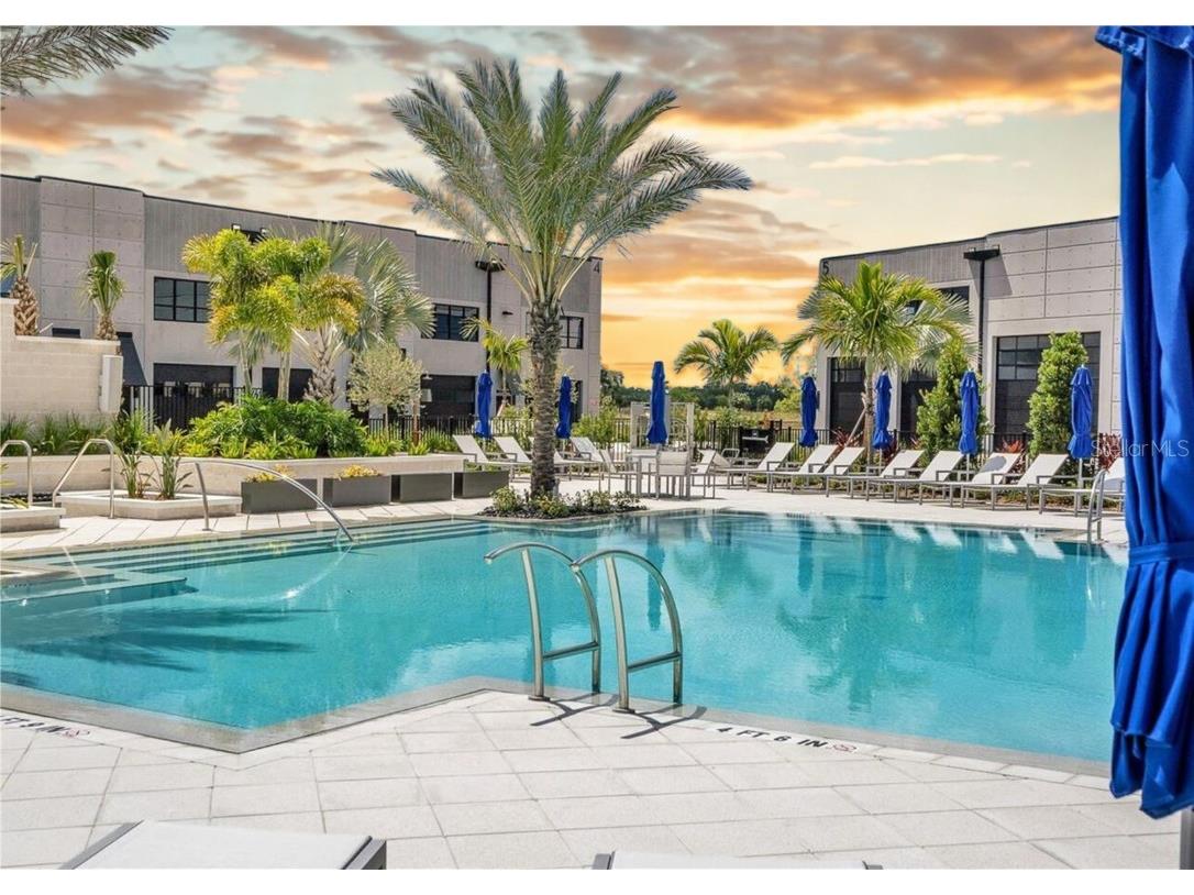 6500 Motor Enclave Way #1405 Tampa FL 33610 TB8445810 image81