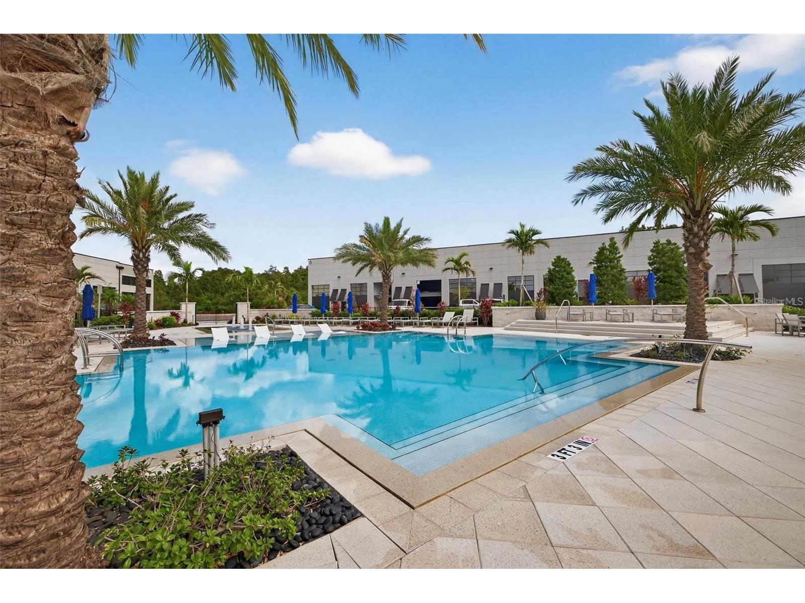 6500 Motor Enclave Way #909 Tampa FL 33610 TB8512331 image13