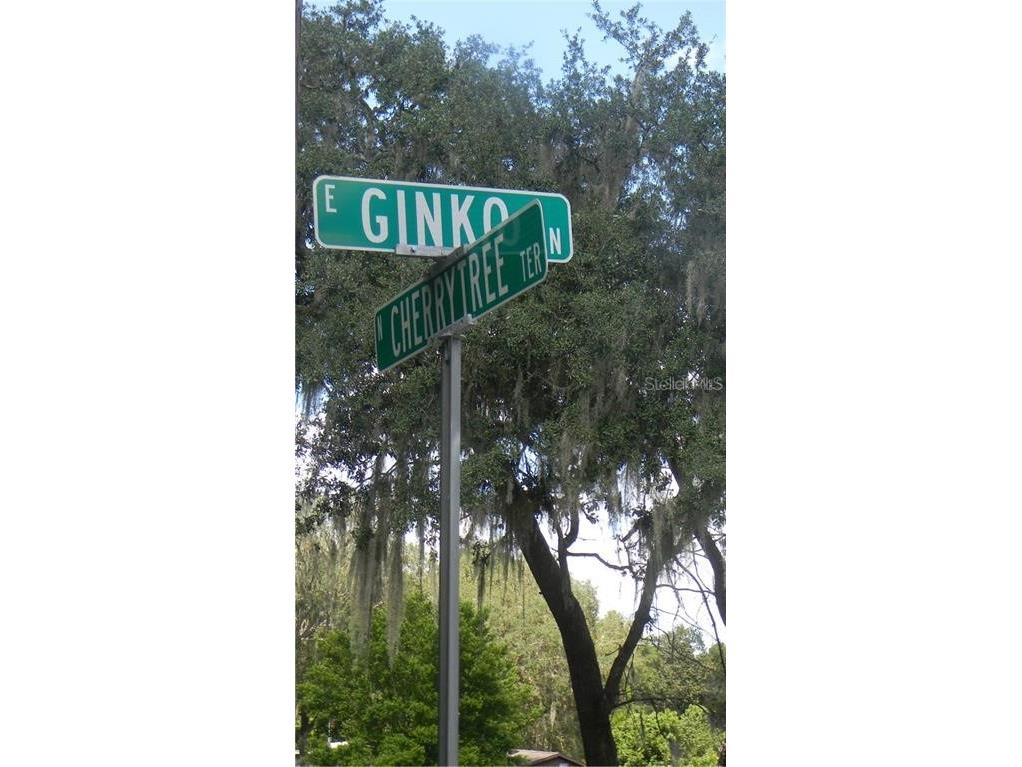 6500 N Cherrytree Terrace Hernando FL 34442 U8129070 image1