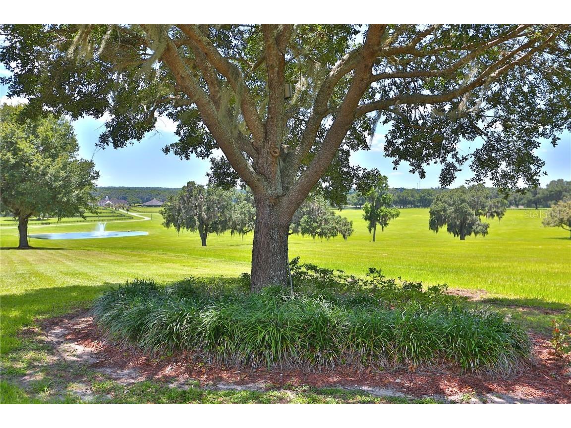 6500 SE 193rd Street Micanopy FL 32667 OM691215 image23