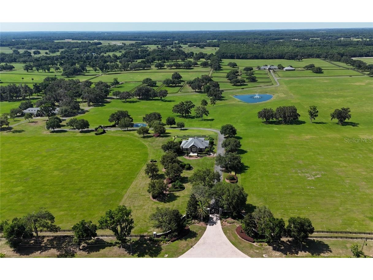 6500 SE 193rd Street Micanopy FL 32667 OM691215 image3