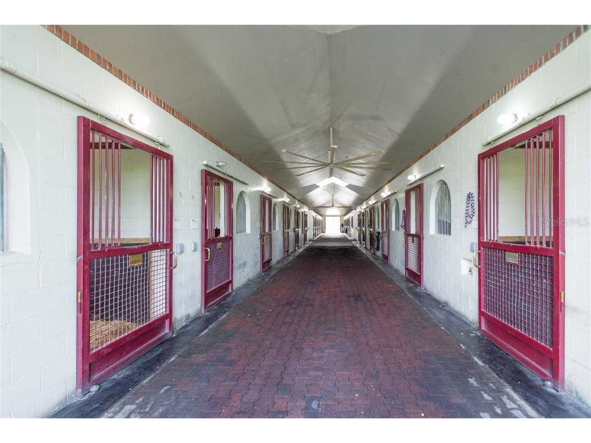 6500 SE 193rd Street Micanopy FL 32667 OM691215 image34