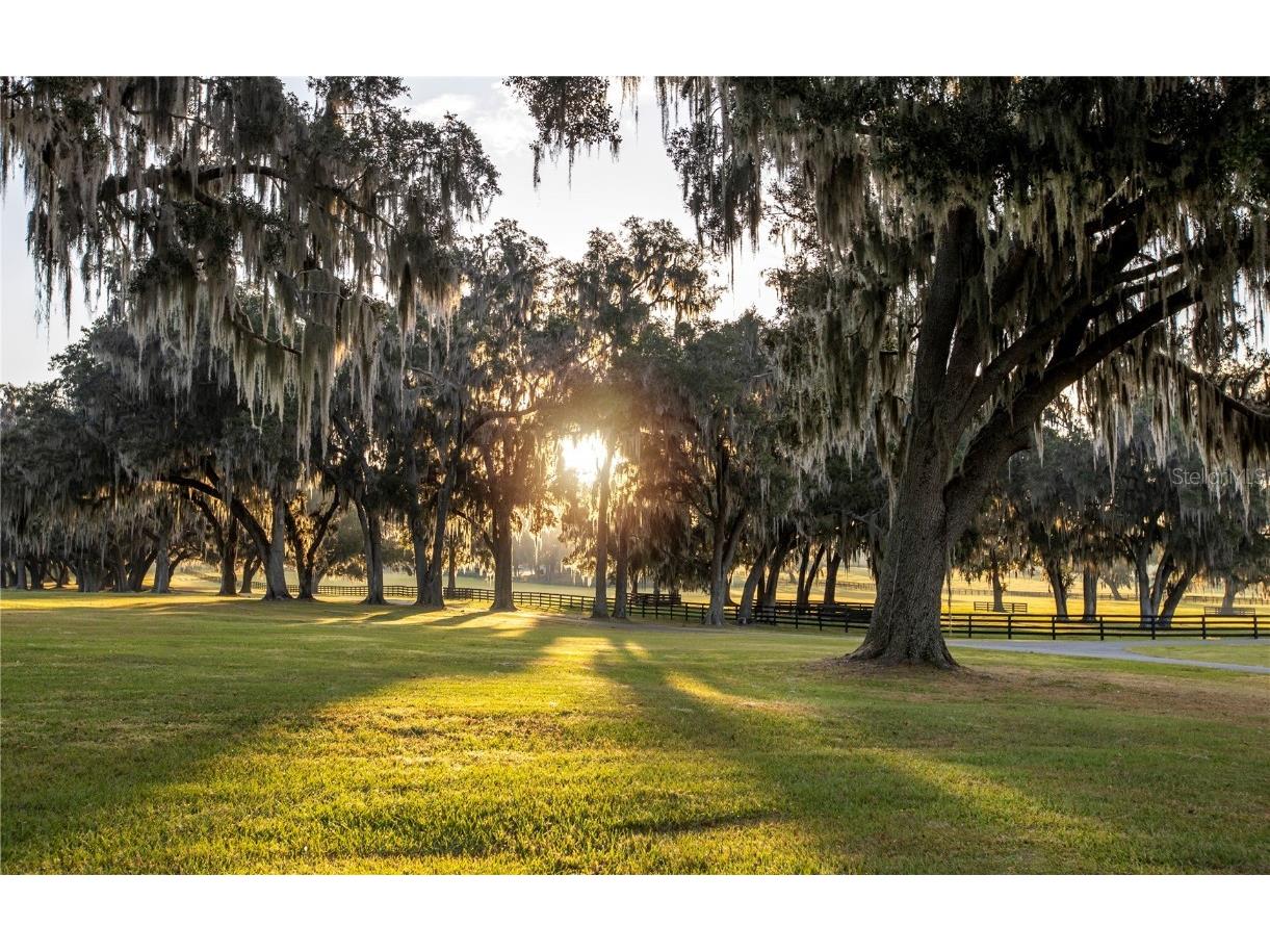 6500 SE 193rd Street Micanopy FL 32667 OM691215 image36