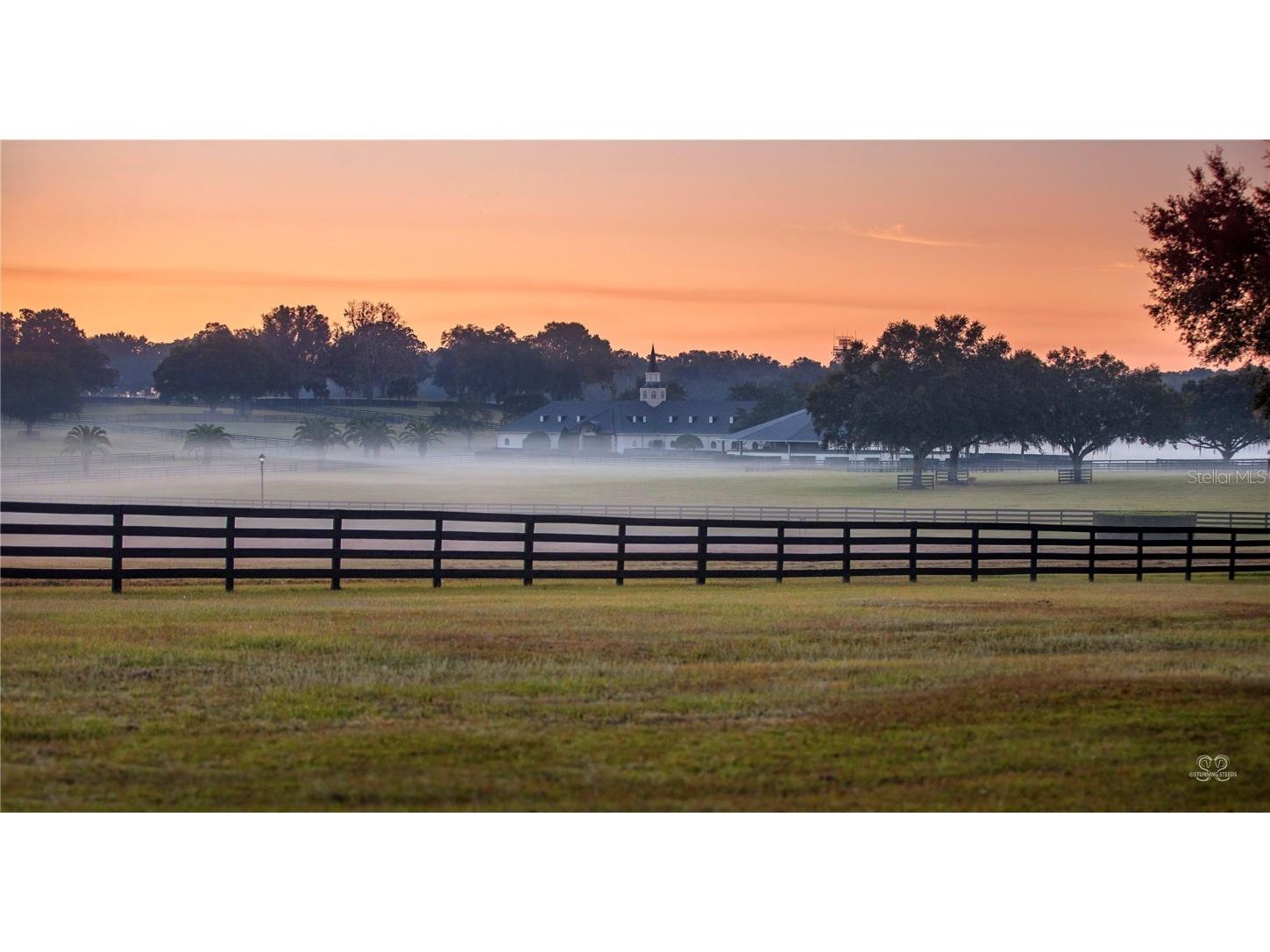 6500 SE 193rd Street Micanopy FL 32667 OM691215 image39