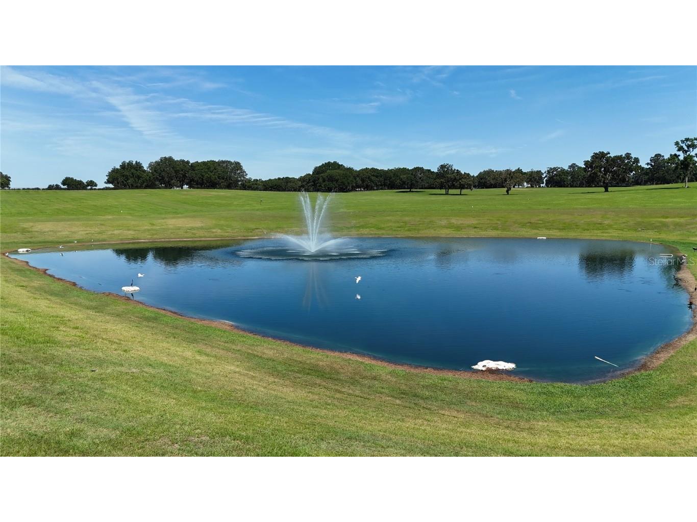 6500 SE 193rd Street Micanopy FL 32667 OM691215 image41