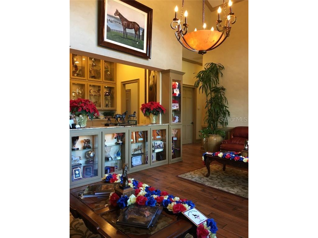 6500 SE 193rd Street Micanopy FL 32667 OM691215 image9