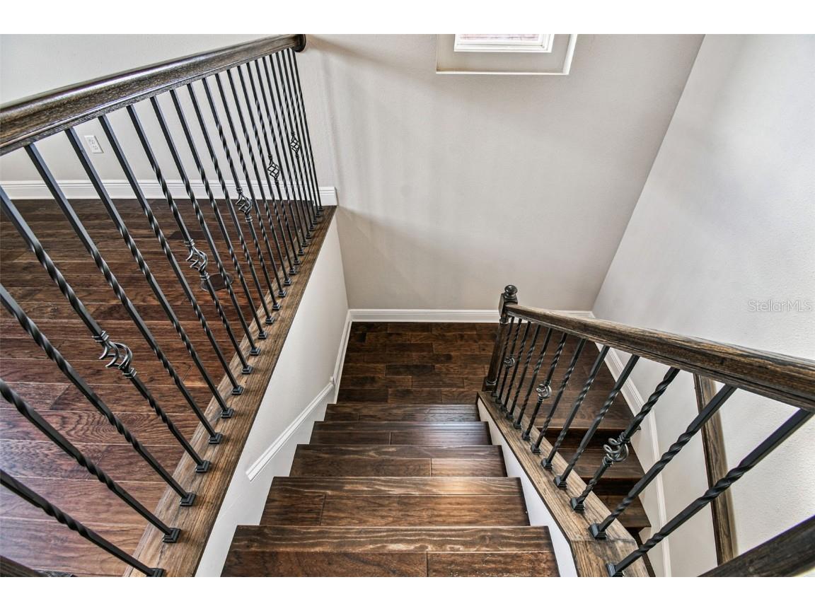 6501 Dutton Drive Wesley Chapel FL 33545 TB8425620 image33