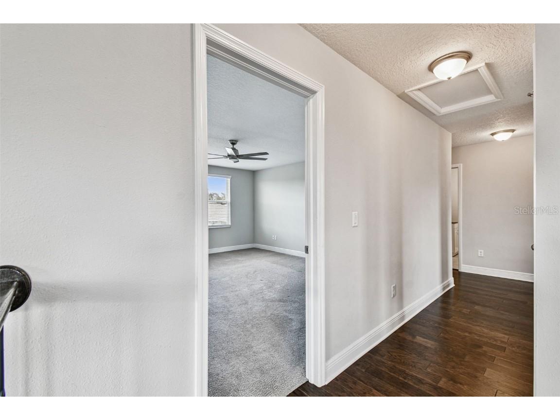 6501 Dutton Drive Wesley Chapel FL 33545 TB8425620 image36