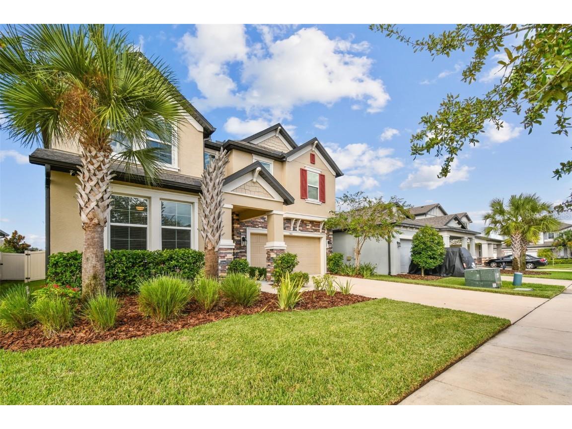 6501 Dutton Drive Wesley Chapel FL 33545 TB8425620 image4