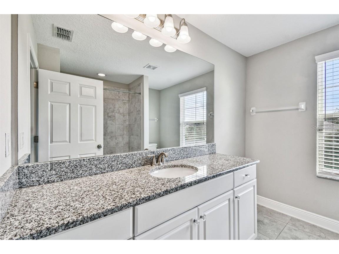 6501 Dutton Drive Wesley Chapel FL 33545 TB8425620 image44