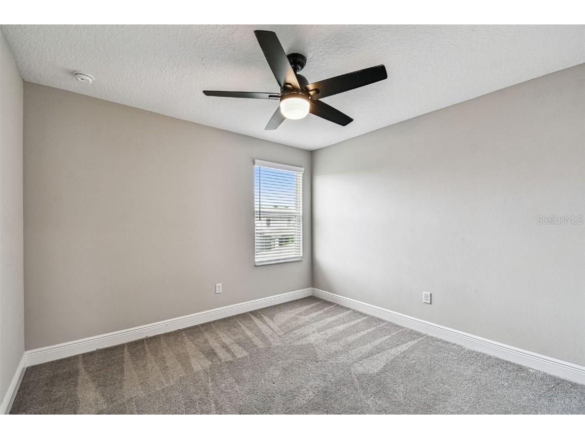 6501 Dutton Drive Wesley Chapel FL 33545 TB8425620 image47