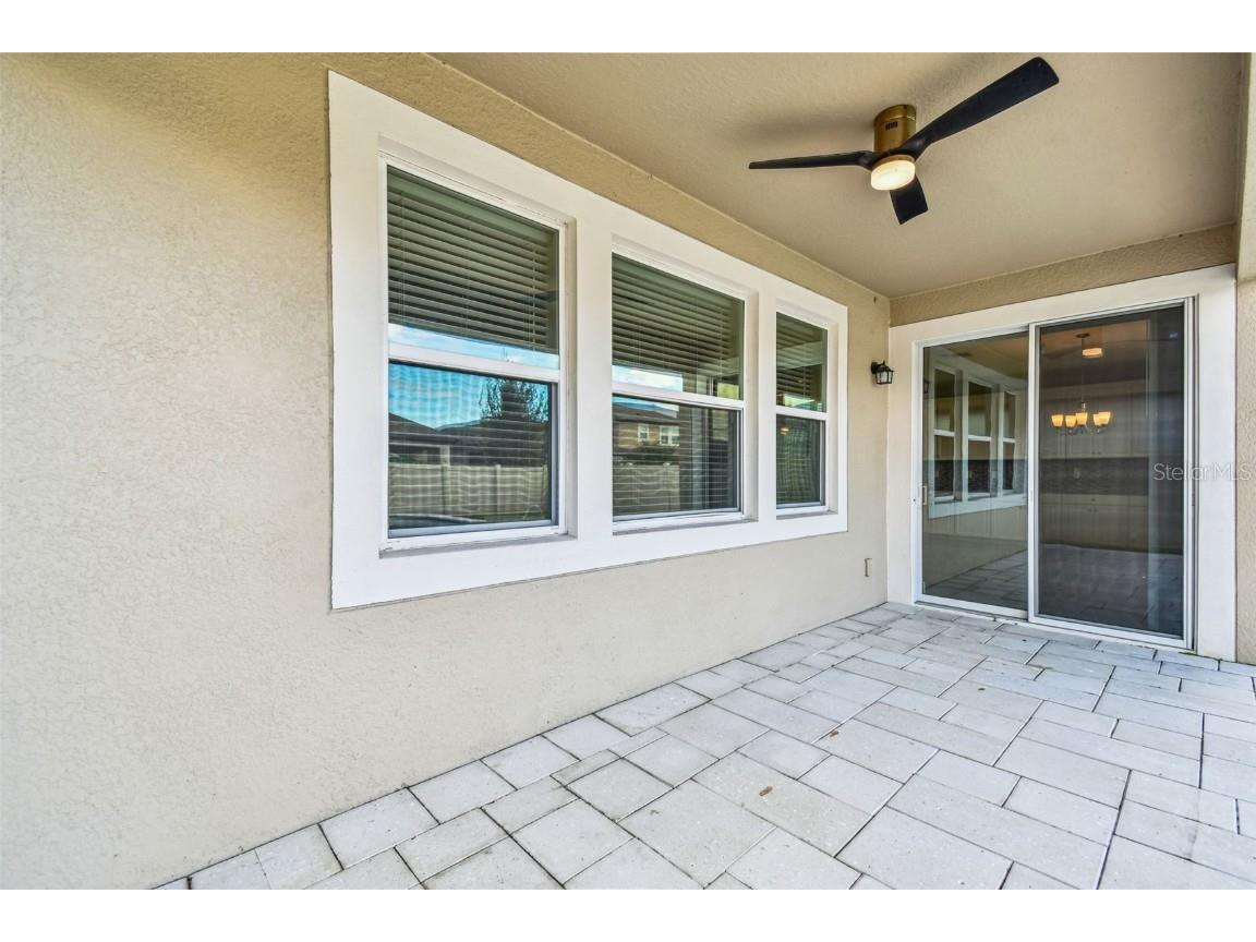 6501 Dutton Drive Wesley Chapel FL 33545 TB8425620 image52