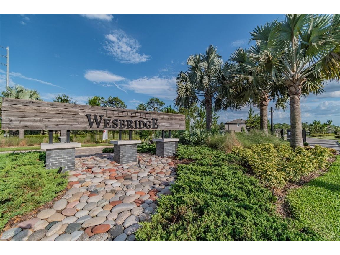 6501 Dutton Drive Wesley Chapel FL 33545 TB8425620 image76