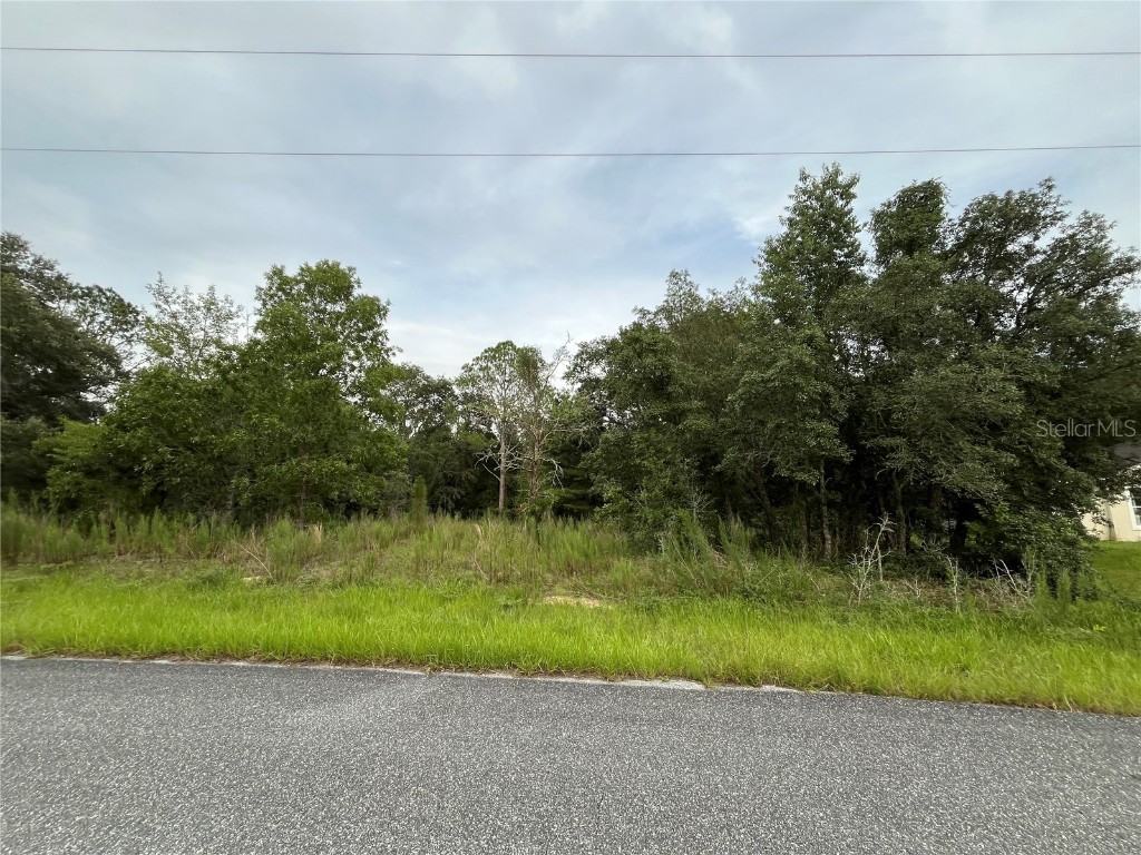 6501 N Airmont Drive Dunnellon FL 34433 OK224232 image1