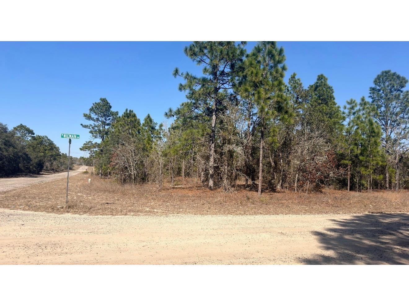 6501 N Winlock Terrace Dunnellon FL 34433 O6386380 image1