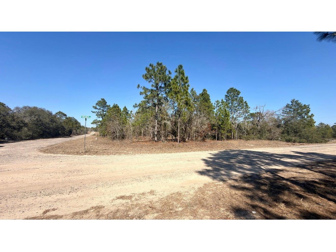 6501 N Winlock Terrace Dunnellon FL 34433 O6386380 image4