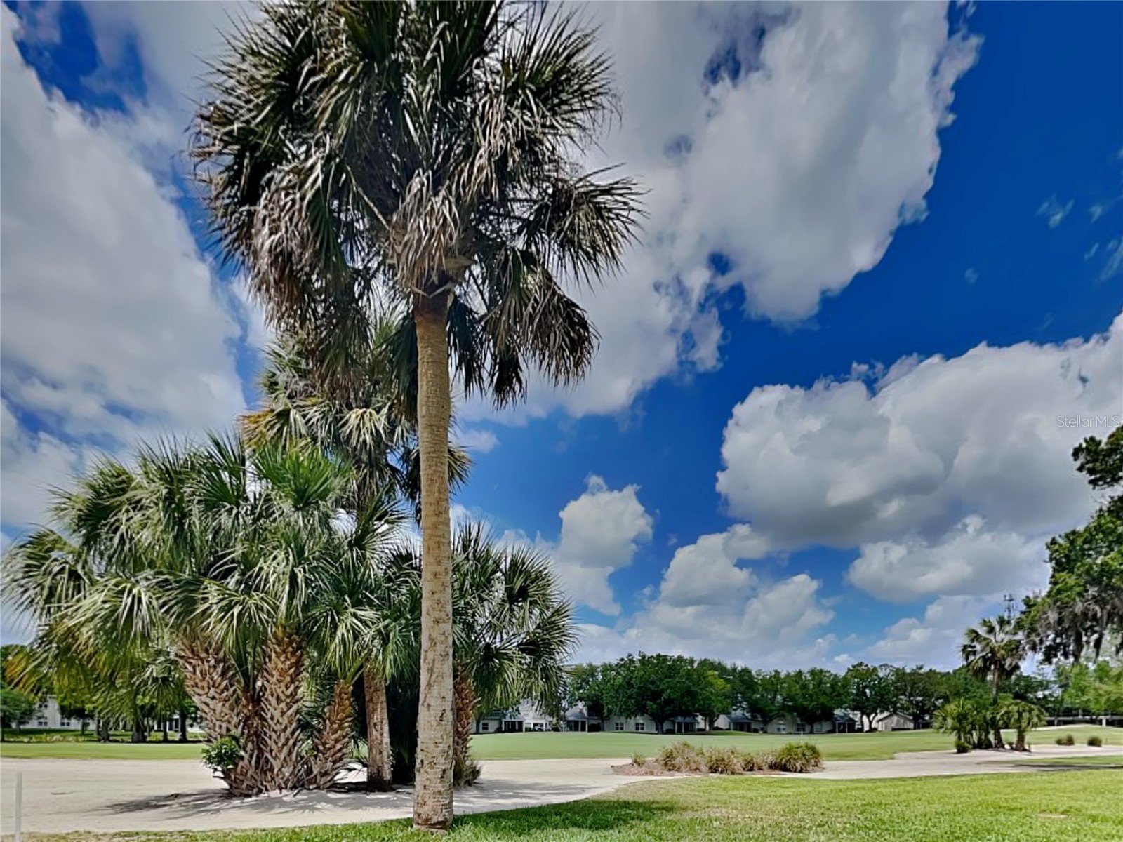 6501 Stone River Road #110 Bradenton FL 34203 TB8496720 image17