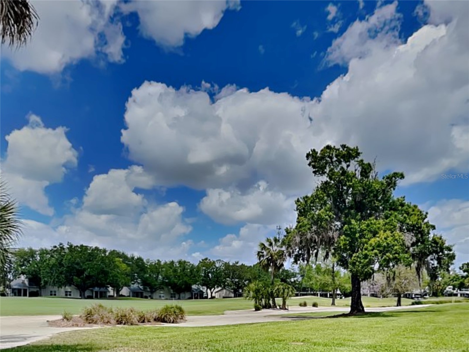 6501 Stone River Road #110 Bradenton FL 34203 TB8496720 image18