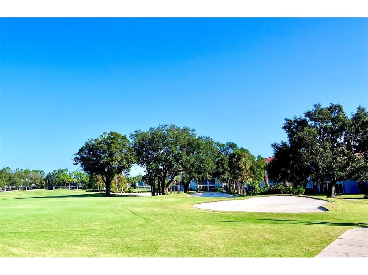 6501 Stone River Road #203 Bradenton FL 34203 A4671811 image41