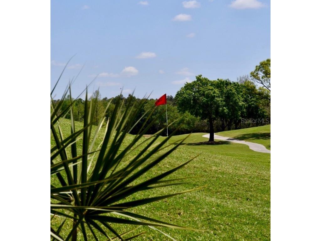 6501 Stone River Road #209 Bradenton FL 34203 A4646461 image22