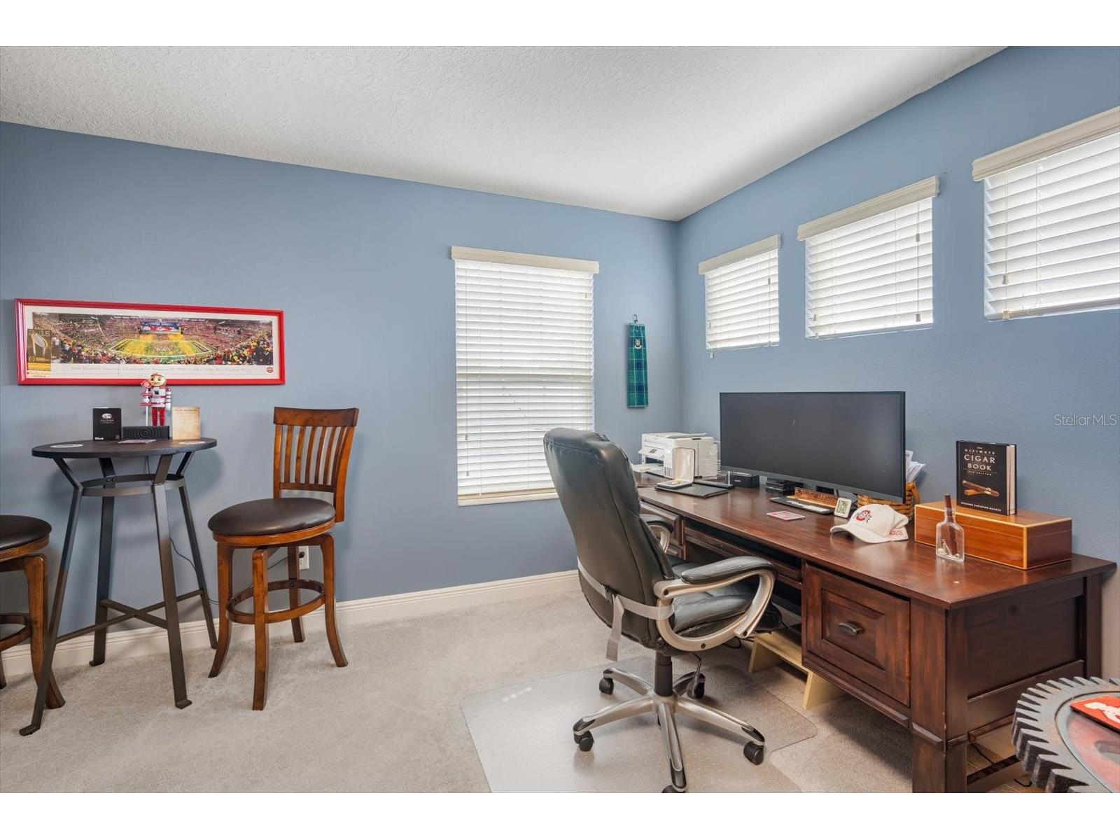 6502 Maiden Sea Drive Apollo Beach FL 33572 TB8469049 image24