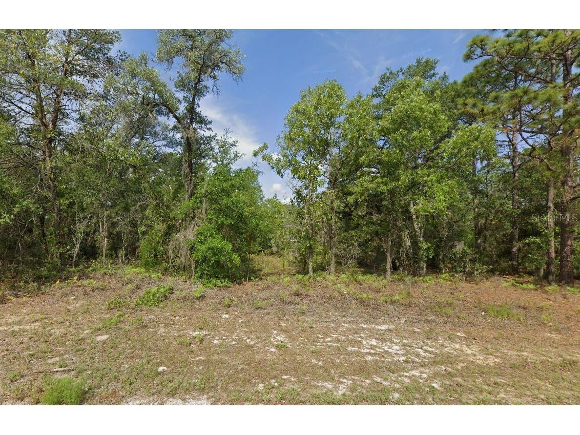 6502 N Matheson Drive Citrus Springs FL 34434 TB8469093 image1