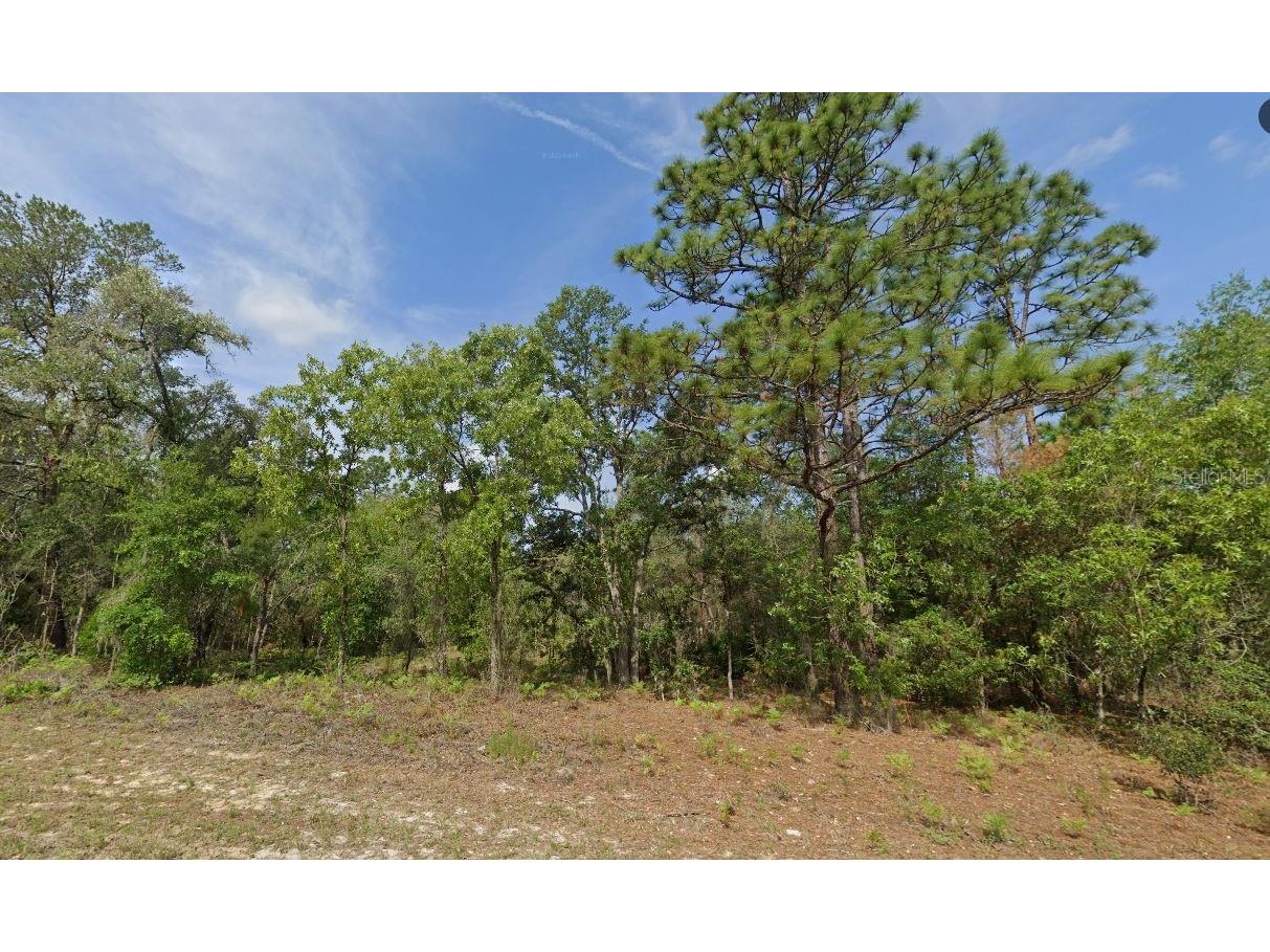 6502 N Matheson Drive Citrus Springs FL 34434 TB8469093 image2