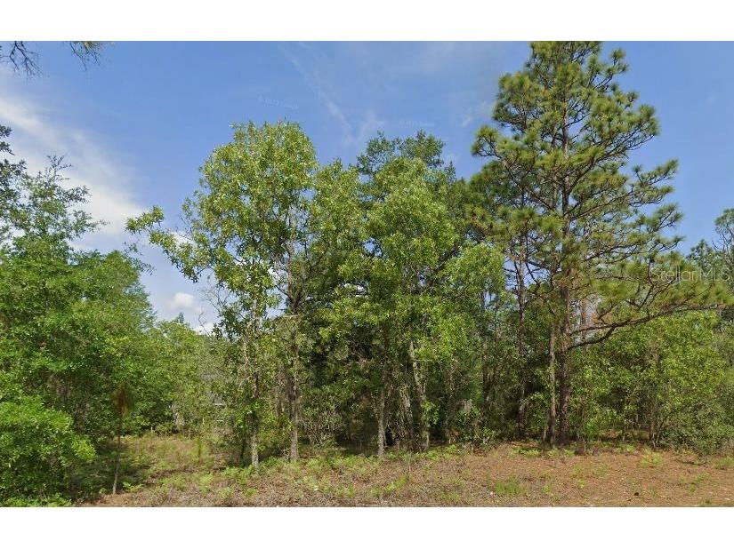 6502 N Matheson Drive Citrus Springs FL 34434 TB8469093 image3
