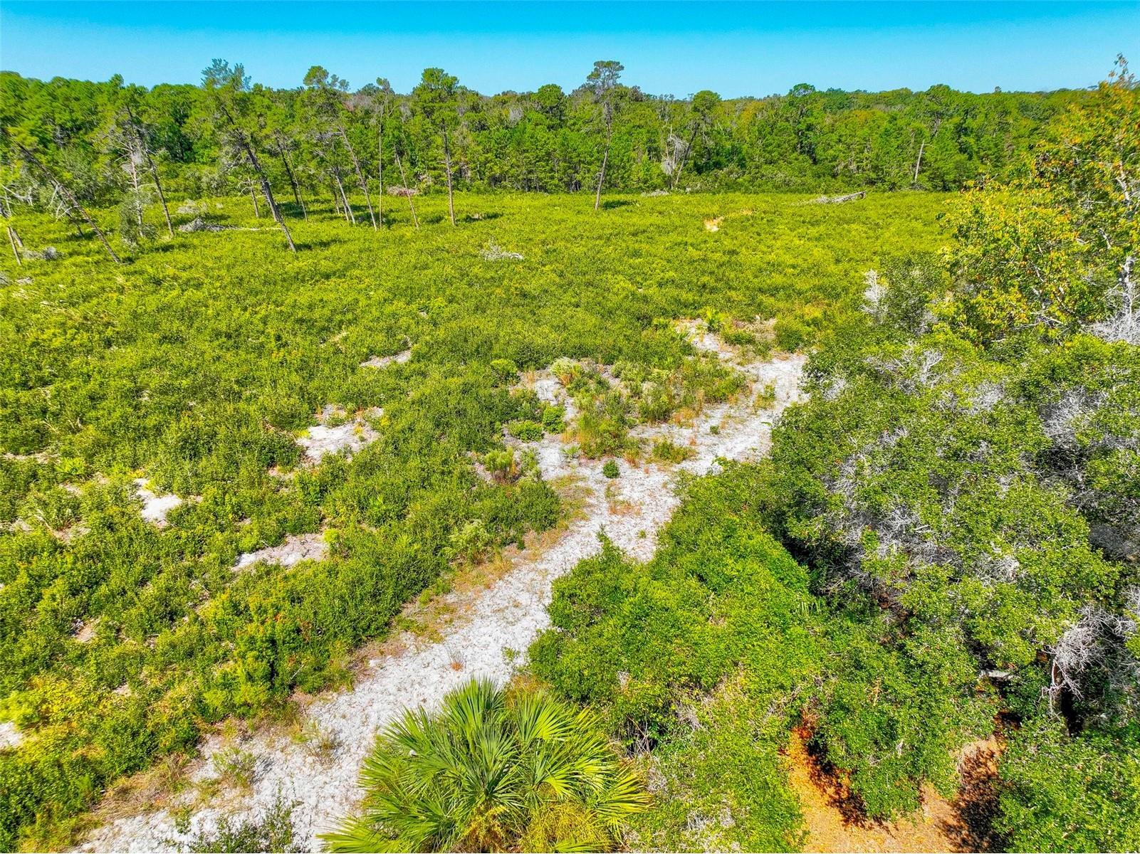 6502 River Run Boulevard #6502 Weeki Wachee FL 34607 W7879977 image43