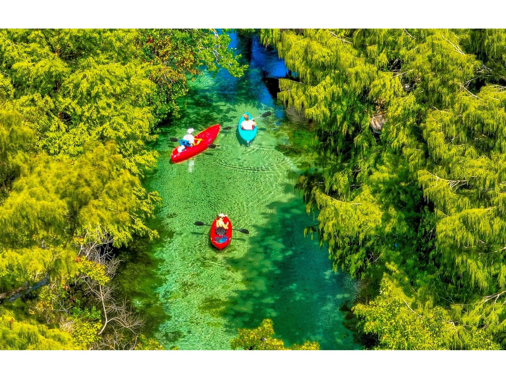 6502 River Run Boulevard #6502 Weeki Wachee FL 34607 W7879977 image46