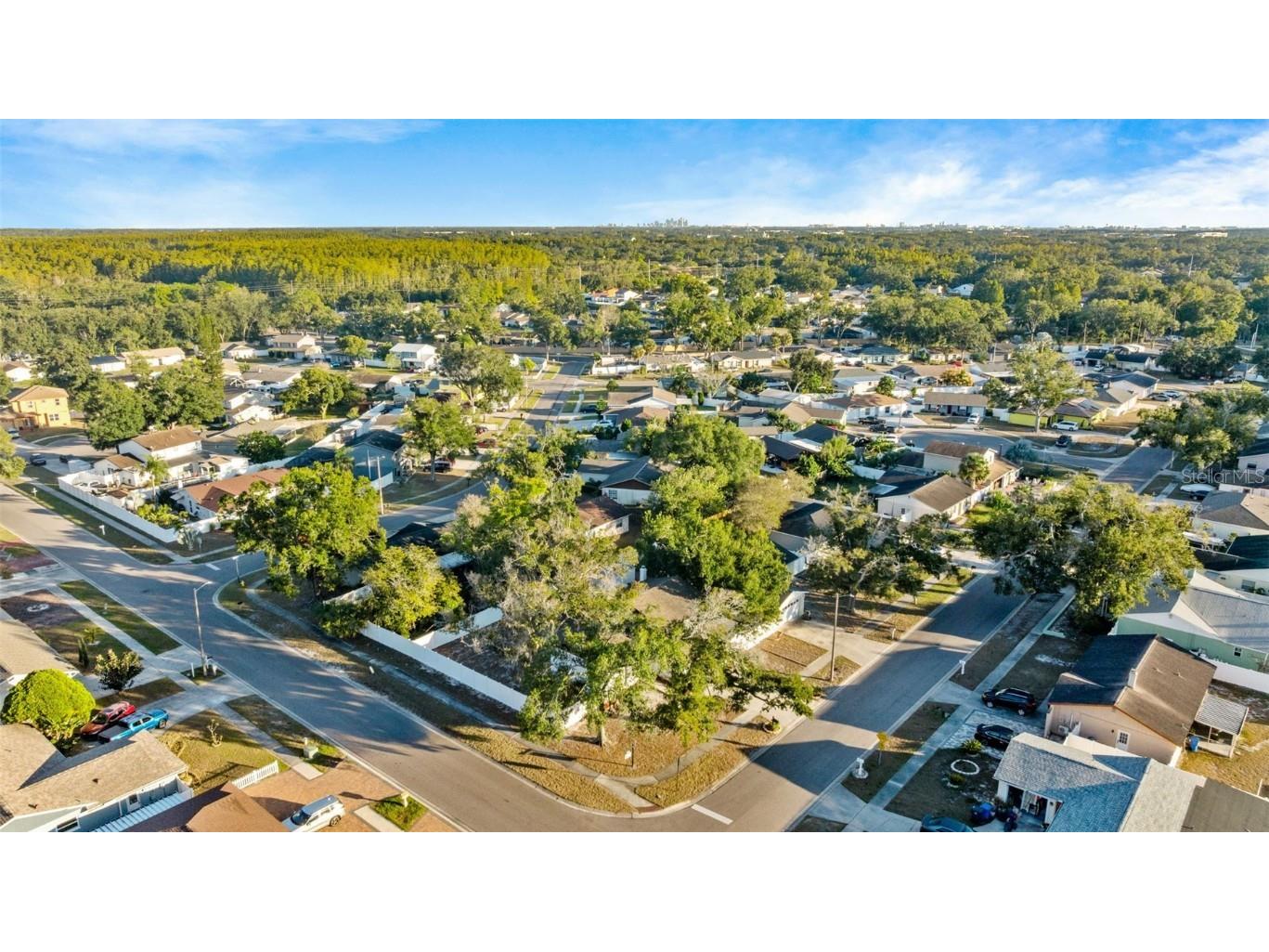 6502 Spanish Moss Circle Tampa FL 33625 TB8444777 image31